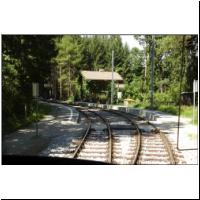 2014-07-19 6 Tantegert.jpg